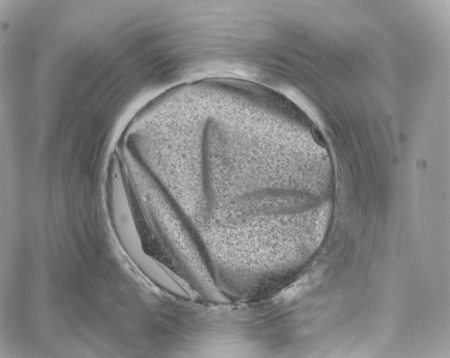 X0000060221104200511181206