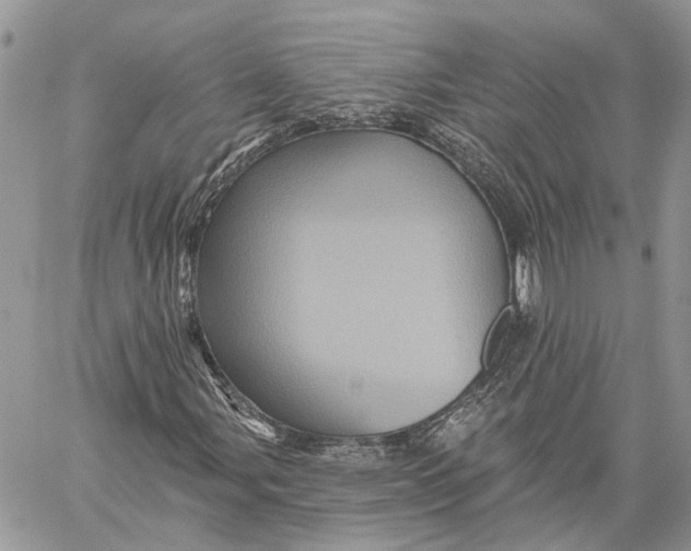 X0000060221107200511181205