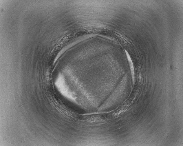 X0000060221108200511181205
