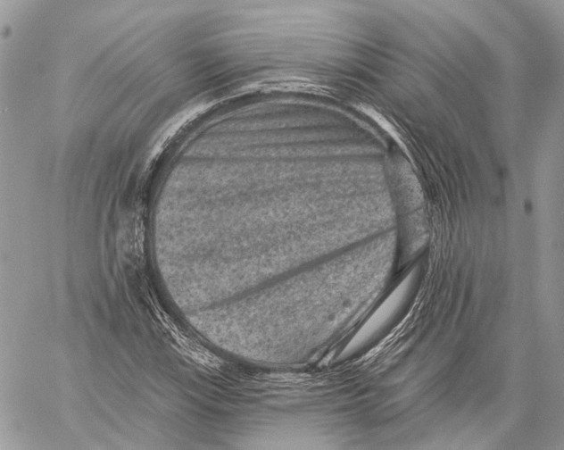 X0000060221115200511181205