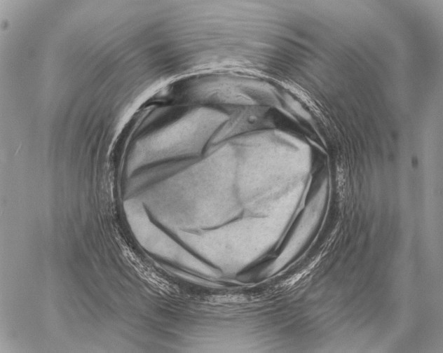 X0000060221118200511181205