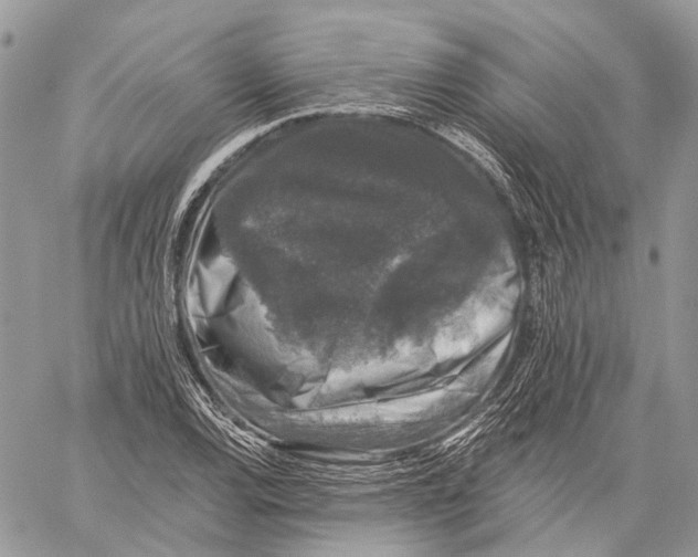 X0000060221120200511181205