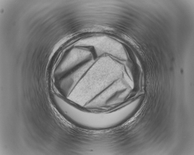 X0000060221122200511181205