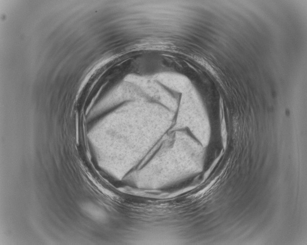 X0000060221123200511181205