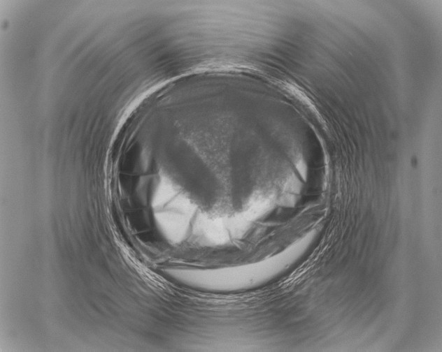 X0000060221124200511181205