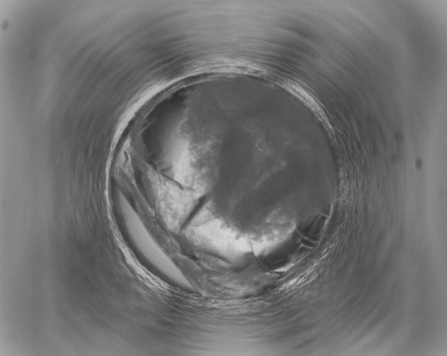 X0000060221128200511181206