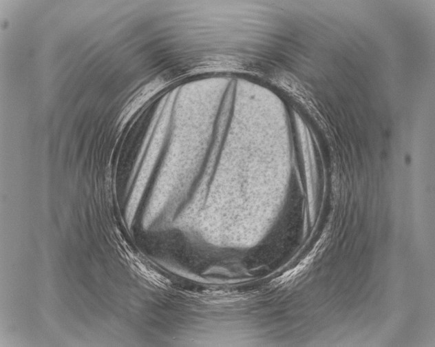 X0000060221129200511181206
