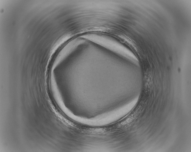 X0000060221135200511181206