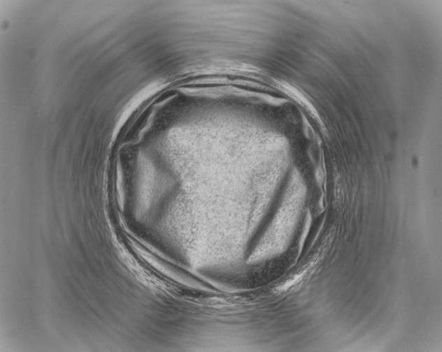 X0000060221138200511181206