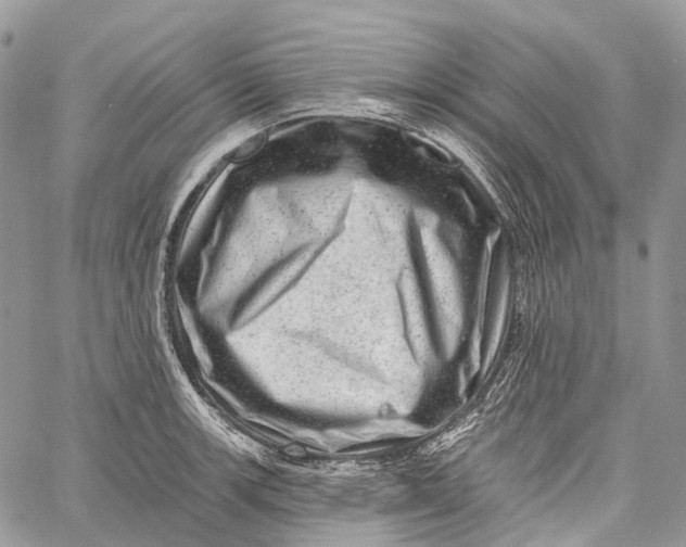 X0000060221139200511181206