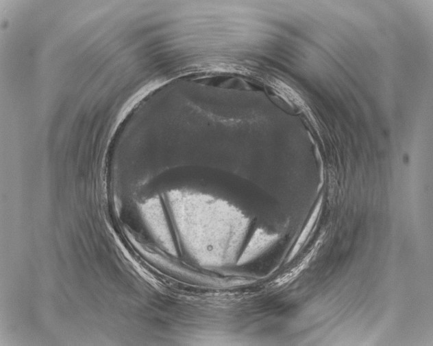 X0000060221141200511181206