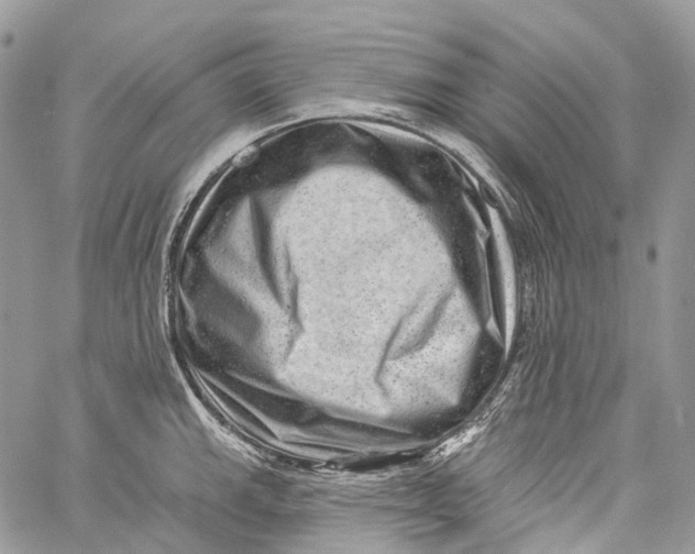 X0000060221143200511181206
