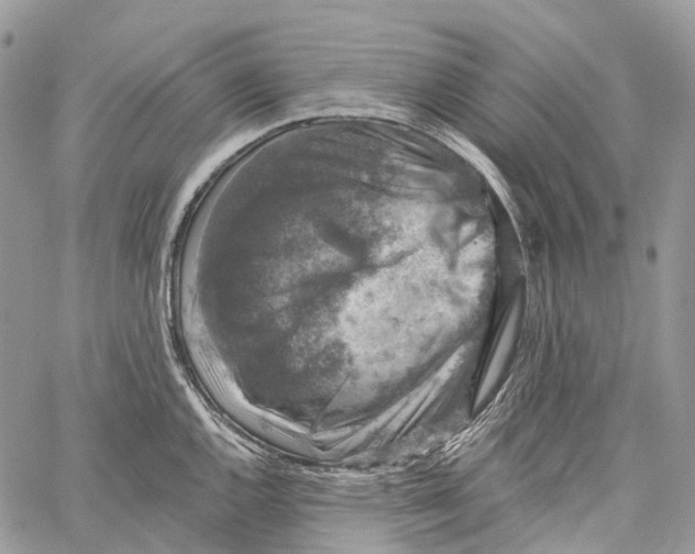 X0000060221144200511181206