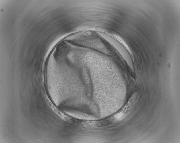 X0000060221148200511181206