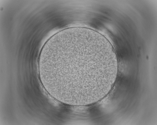 X0000060221150200511181206