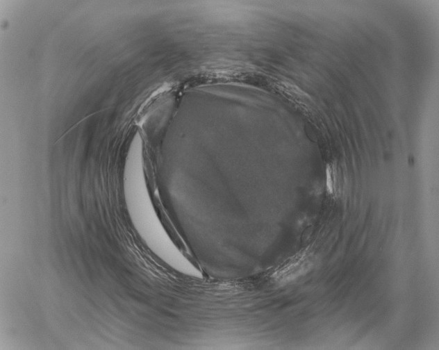 X0000060221155200511181205