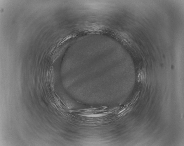 X0000060221156200511181205