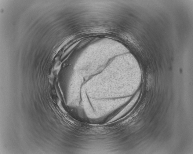 X0000060221162200511181205
