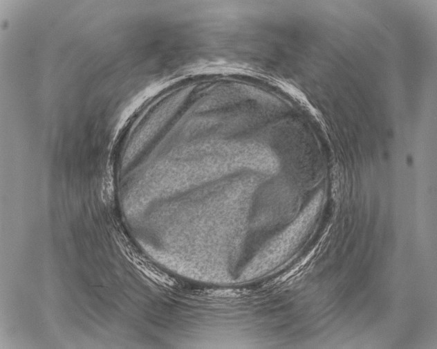 X0000060221167200511181205