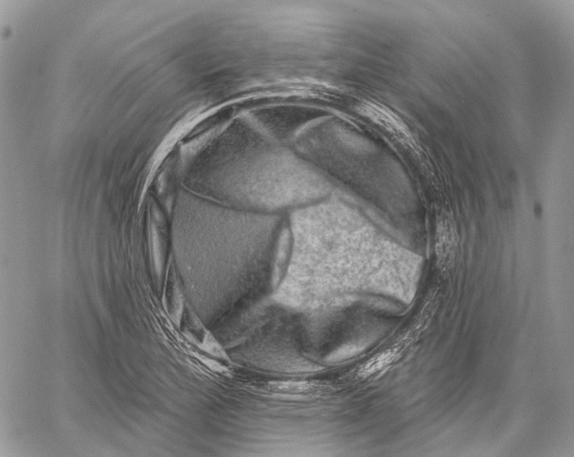 X0000060221172200511181205