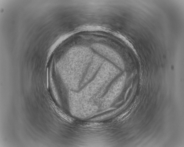 X0000060221175200511181205