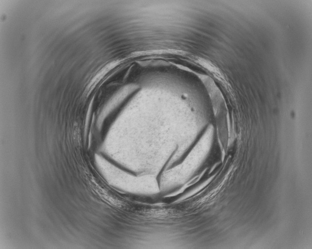 X0000060221177200511181205