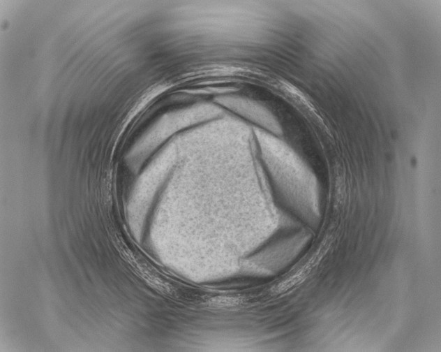 X0000060221178200511181205