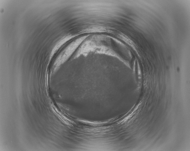 X0000060221179200511181205