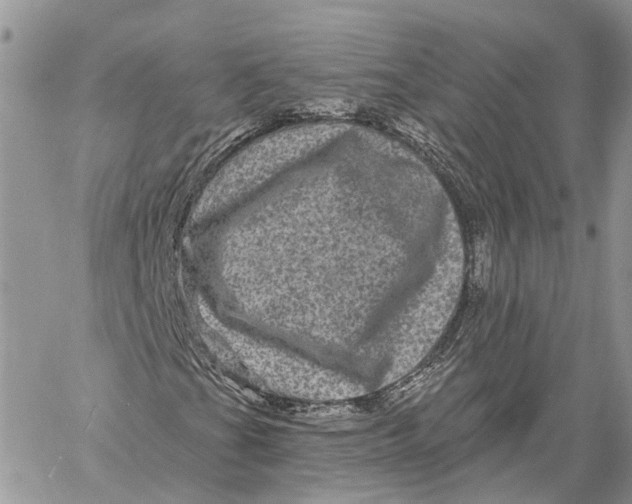 X0000060221201200511181204