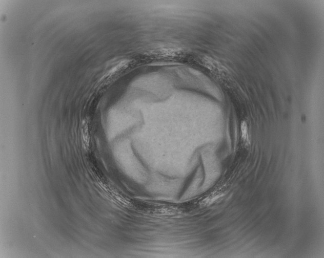 X0000060221203200511181204