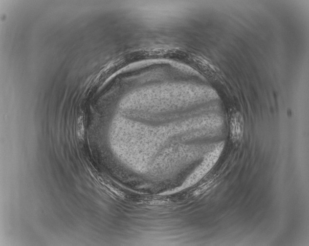 X0000060221204200511181204