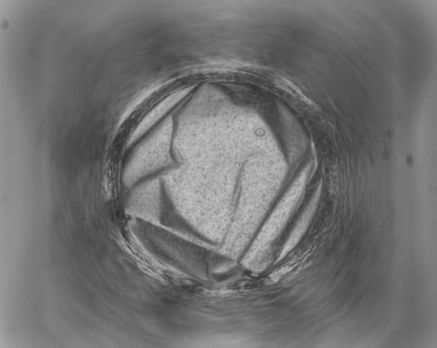 X0000060221208200511181204