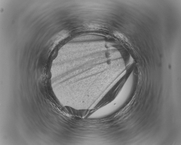 X0000060221210200511181204