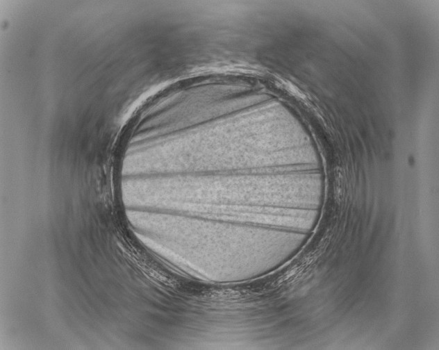 X0000060221214200511181204