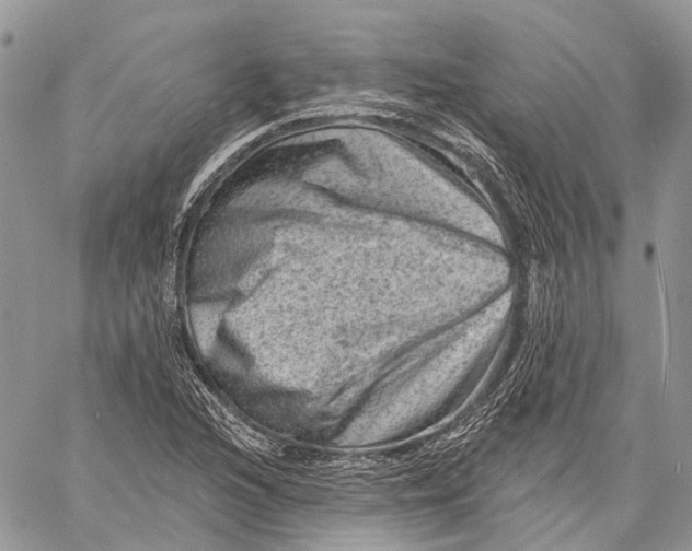X0000060221216200511181204