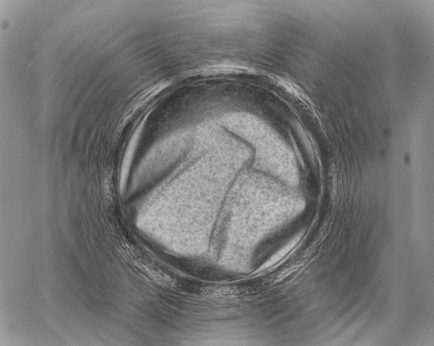 X0000060221217200511181204