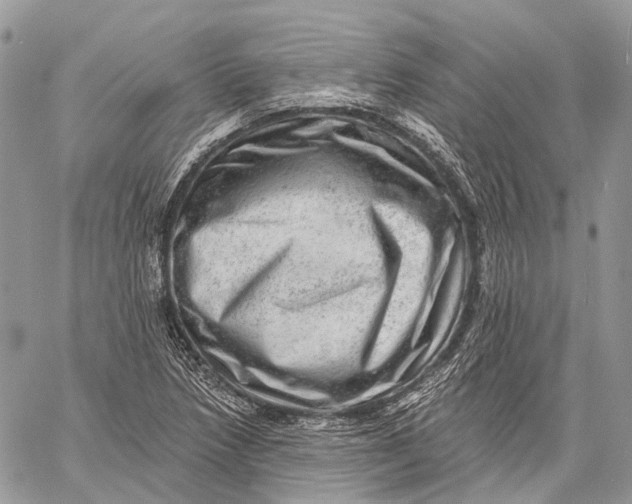 X0000060221218200511181204