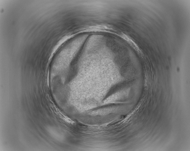 X0000060221224200511181204