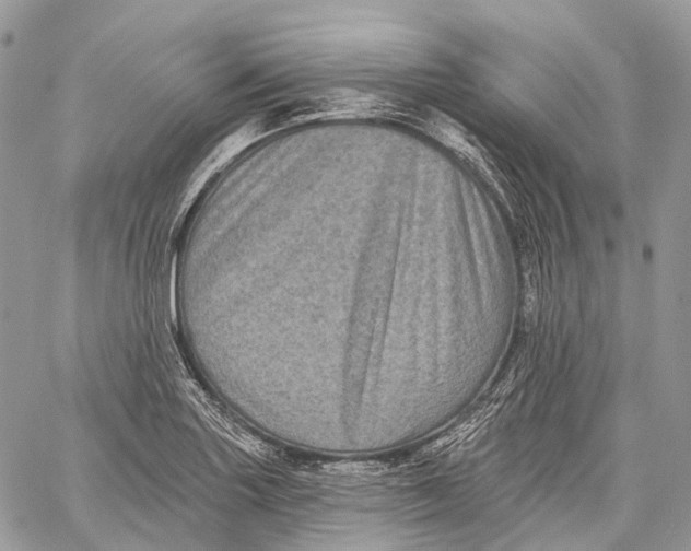 X0000060221227200511181204