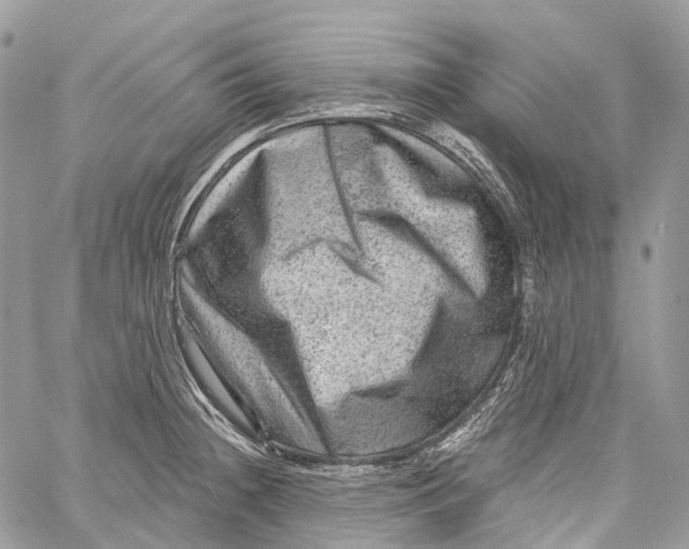 X0000060221236200511181204