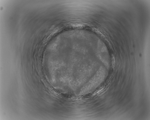 X0000060221249200511181204