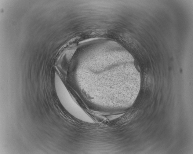 X0000060221250200511181204