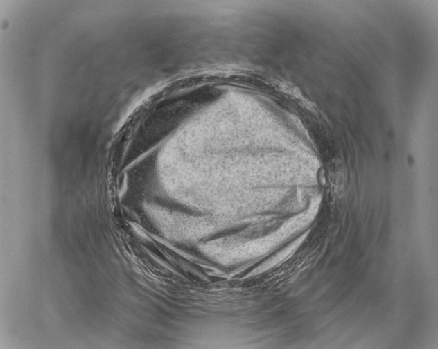 X0000060221256200511181203