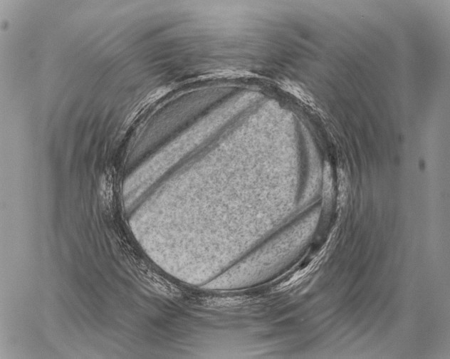 X0000060221257200511181203
