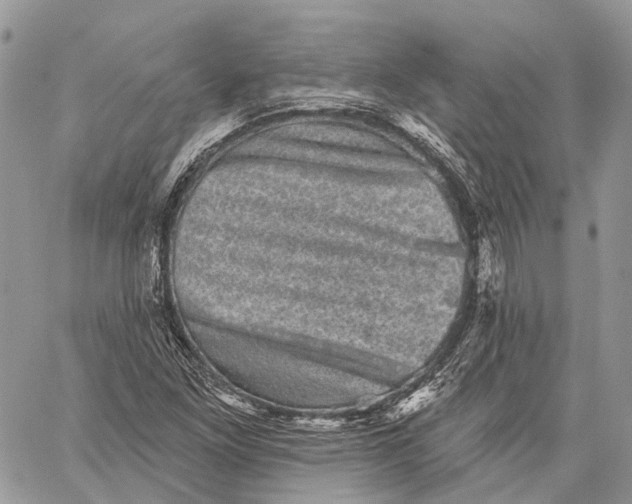 X0000060221261200511181203
