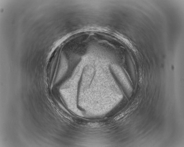 X0000060221264200511181203