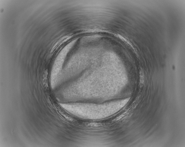 X0000060221265200511181203