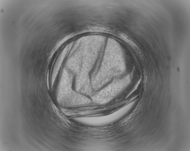 X0000060221272200511181203