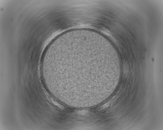 X0000060221278200511181203
