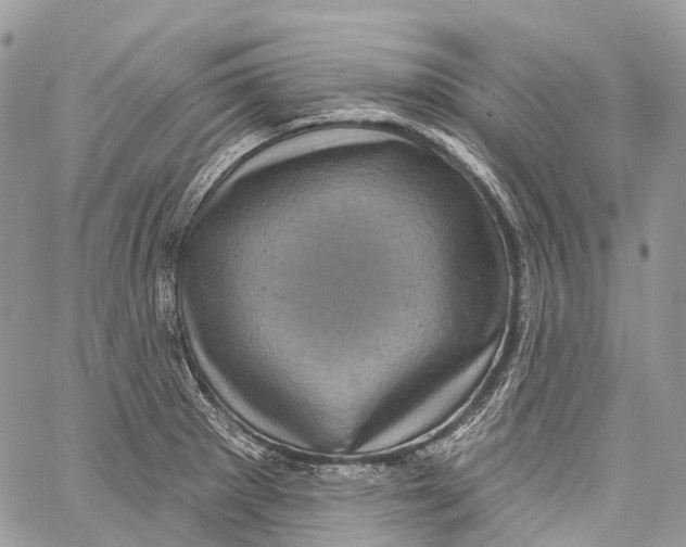 X0000060221281200511181203